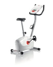 Schwinn A10 Upright Exercise Bike