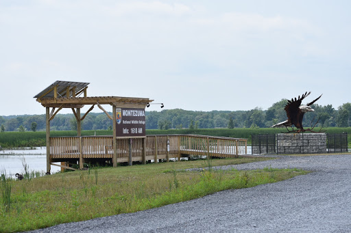 National Reserve «Montezuma National Wildlife Refuge», reviews and photos, 3395 US-20, Seneca Falls, NY 13148, USA