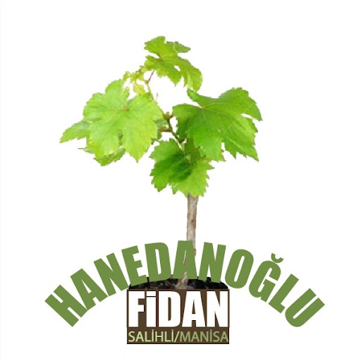 Hanedanoğlu Fidan logo