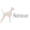 Item logo image for Retriever Digital