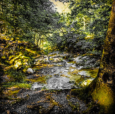 Cascate Arzino  di viviana_andriola