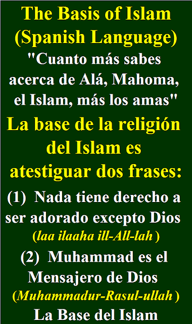 The Basis of Islam La Base del Islam