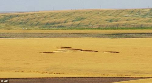 Crop Circles In Washington