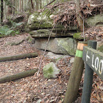 Signpost point to Lookout (225535)