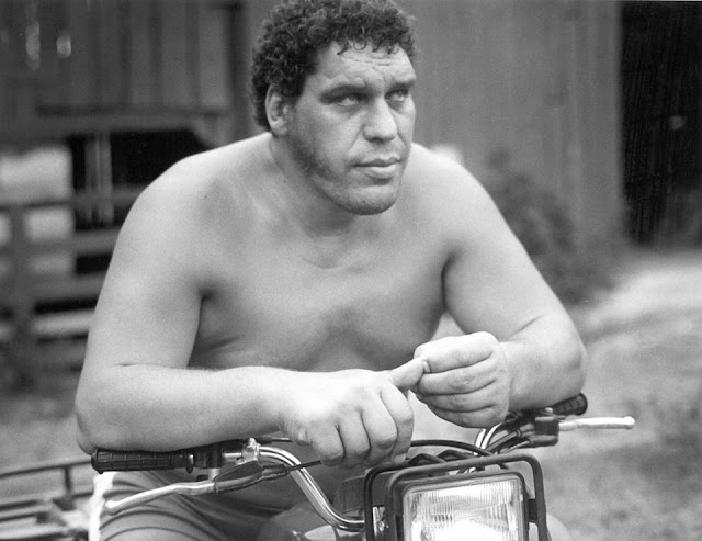 Andre the Giant Dp Profile Pics Andre the Giant