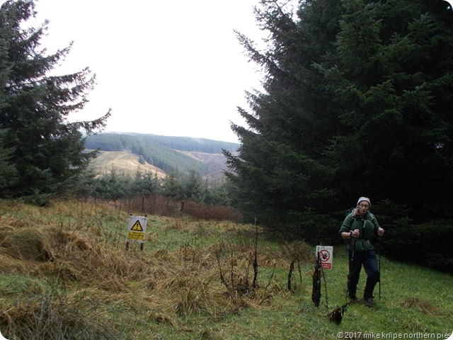 new tent in cheviots 006