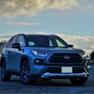 RAV4 MXAA54