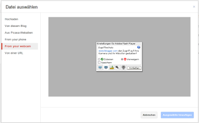 Blogger Webcam