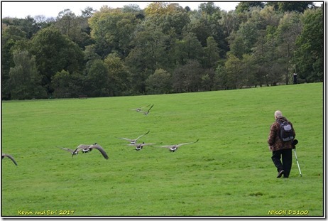 Wollaton Hall - October