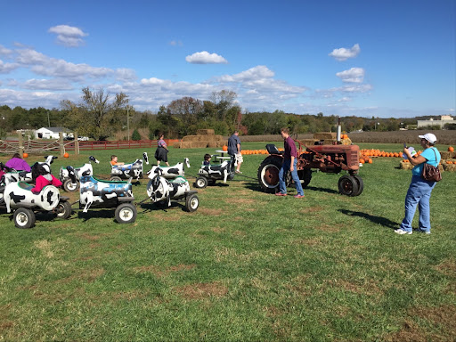 Dairy Farm «Cows-N-Corn», reviews and photos, 5225 Catlett Rd, Midland, VA 22728, USA