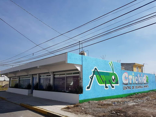 Centro De Desarrollo Infantil Crickidz, Mariano Matamoros 639, Barrio de la Concepción, 52104 San Mateo Atenco, Méx., México, Escuela infantil | EDOMEX