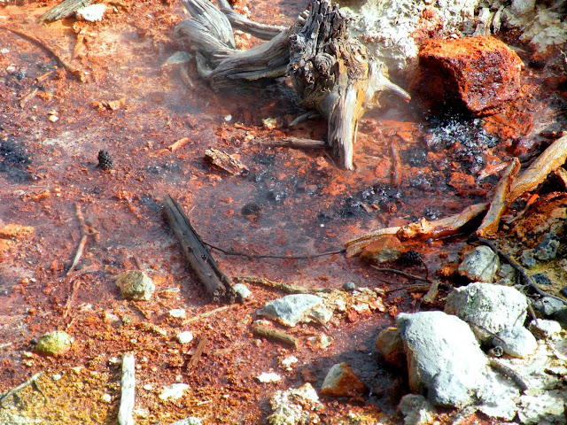 DIA-3. Norris, el cañón y el lago. YELLOWSTONE (II) - Los fascinantes parques del oeste americano. (15)