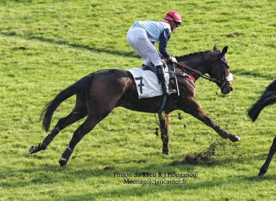 Photos Auteuil 23-11-2014  IMG_6035