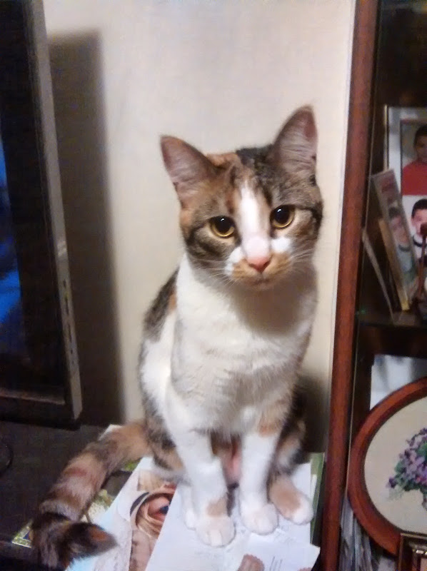 20140916_190235.jpg