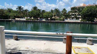 Photos of Dolphin Discovery Dreams Puerto Aventuras