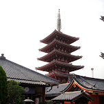 sensoji temple in Asakusa, Japan 