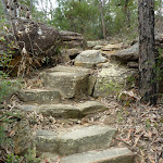 Rock steps north of Elouera lookout (333971)