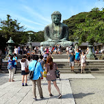 the giant Daibutsu in Japan in Kamakura, Japan 