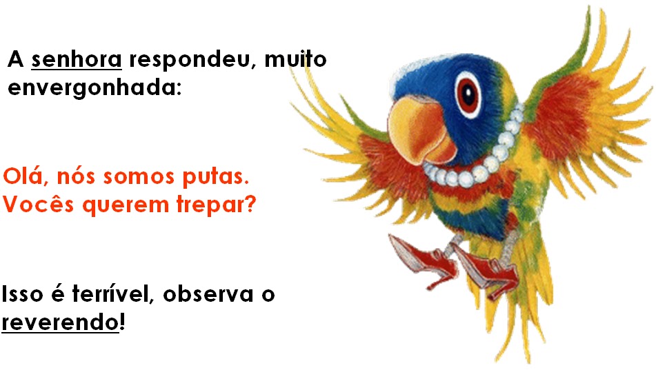 Blog Comédia Geral Piada A Fé dos Papagaios