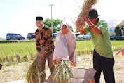 Dukung GNPIP, BI Sulsel Bersama Gapoktan Harapan Jaya Gelar Panen Raya