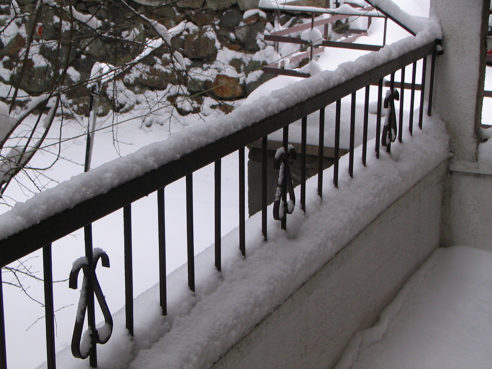 Kedi Süpürgesi Yağdır Mevlam Kar!