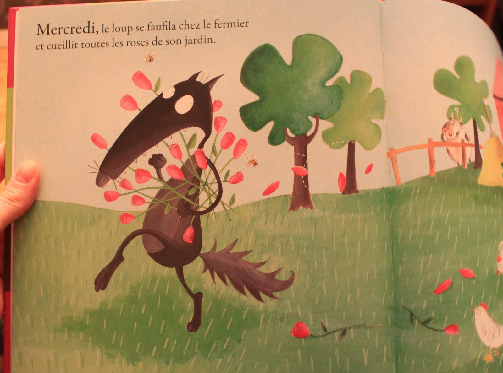 HOMADITHA: Le loup qui voulait changer de couleur