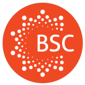 BSC Dublin logo