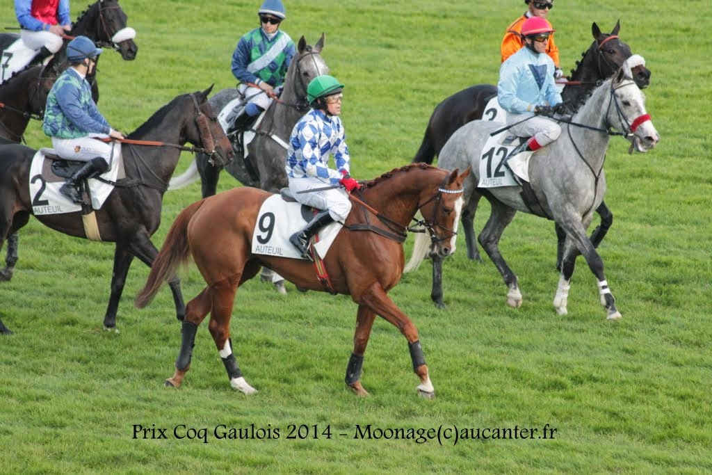 Photos Auteuil 2-11-2014 (48h de l'obstacle) - Page 2 IMG_5756