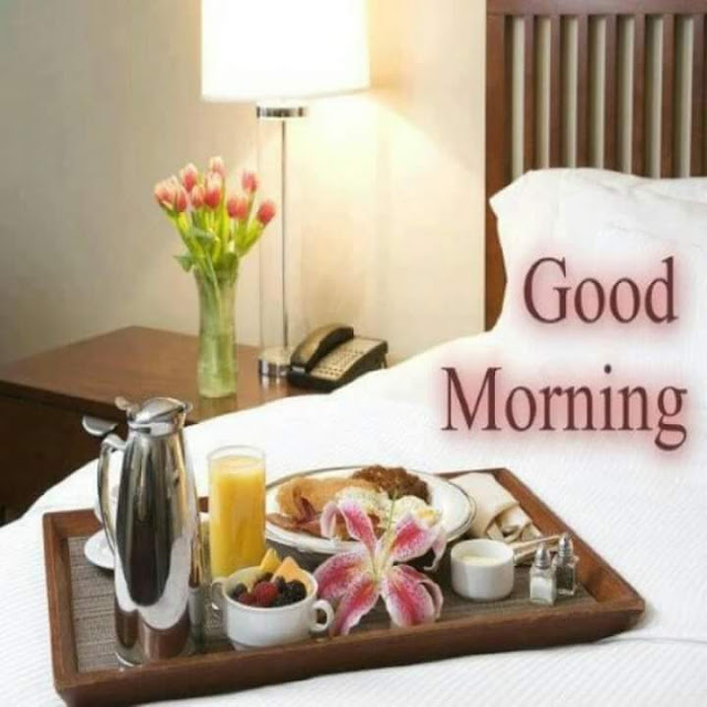 Good Morning Images Collection 2023 good morning images collection