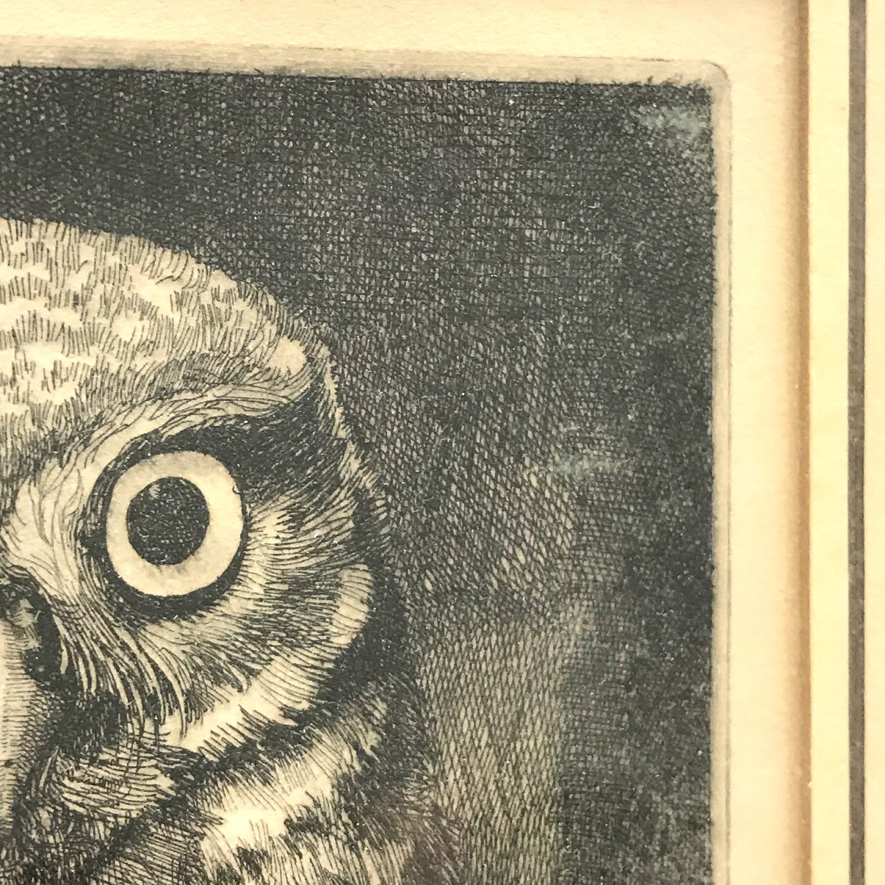 Sheldon 'Shelly' Fink Signed 'Little Owl' Etching