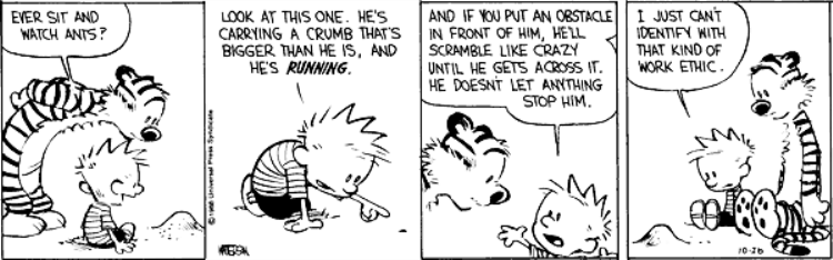 calvin work ethic