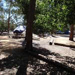 Log markers in Hobart Beach camping area (105103)