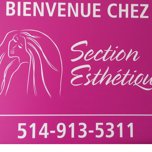 Section Esthétique logo