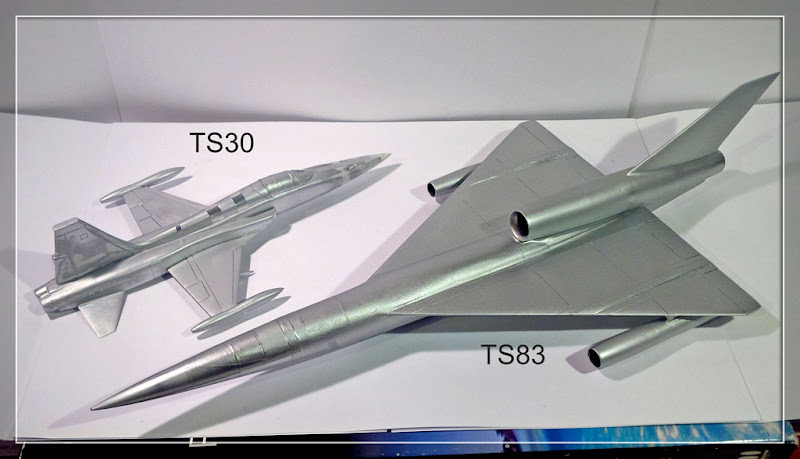 Miss Louise et ses potes: [ESCI] 1/72 - North American F-100D Super Sabre  "Pretty Penny" - Page 12 IMG_20160629_223031