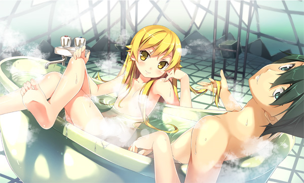 파일:attachment/nisemonogatari_endcard08.jpg