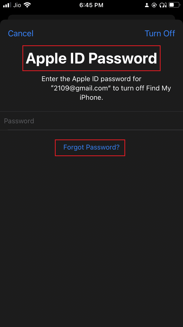 tocca l'opzione Password dimenticata sullo schermo per inserire la password dell'ID Apple in iPhone.  Come disattivare Trova il mio iPhone senza password