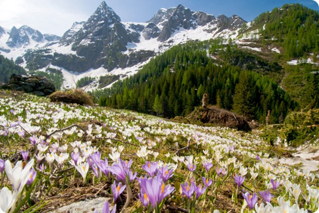 val di scais