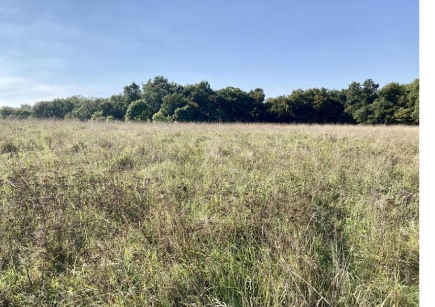 Vente terrain  860 m² à Saint-Aubin-de-Médoc (33160), 369 000 €