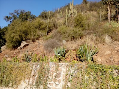 Photos of Hosteria Los Olivos
