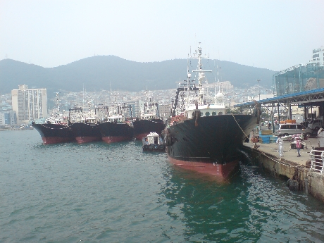 Descubriendo Corea en pocos días - Blogs de Corea Sur - Busan, una ciudad que rodea montañas (1)