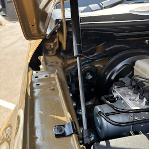 ランドクルーザー250 TRJ250W