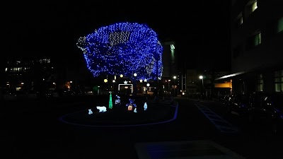 Photos of Kumamoto University Hospital