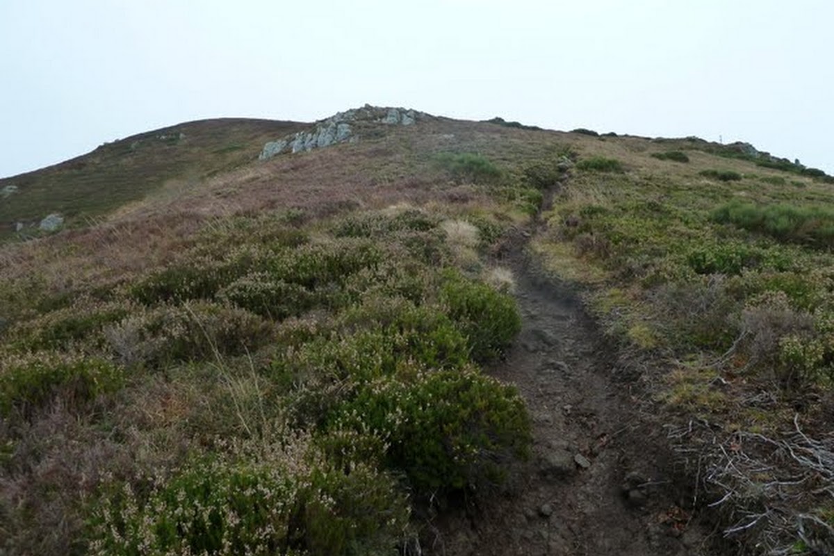 P1040657.JPG