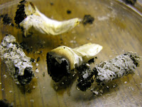 sigara bırakmak