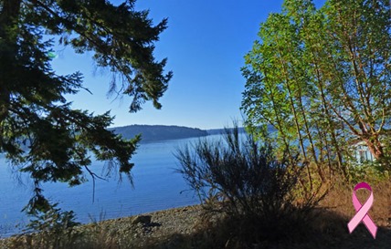  Puget Sound along US 101