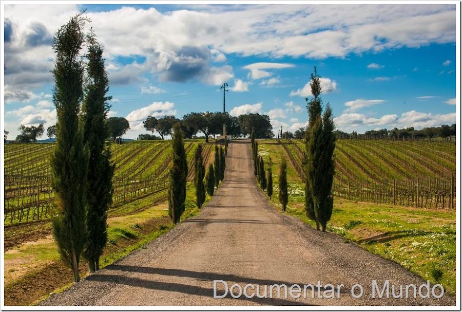 Herdade das Servas, enoturismo em Estremoz, quinta de vinhos em Estremoz