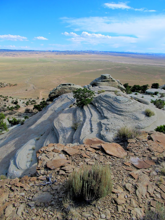 View out over Buckhorn Flat