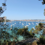 View from Manly Scenic Walk (79009)