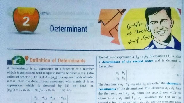 (Algebra) Determinants Chapter 2 Chhaya S.N Dey Mathematics Class 12 Questions PDF Download