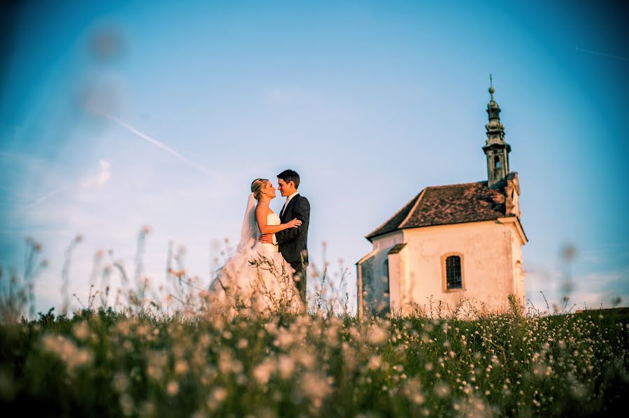 Wedding photographer Daniel Cseh (tothemoonandback). Photo of 11 August 2016